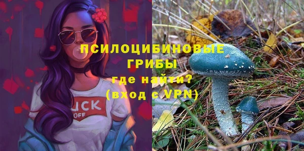 прущая мука Богданович